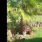 Cabanas Rapanui Keka