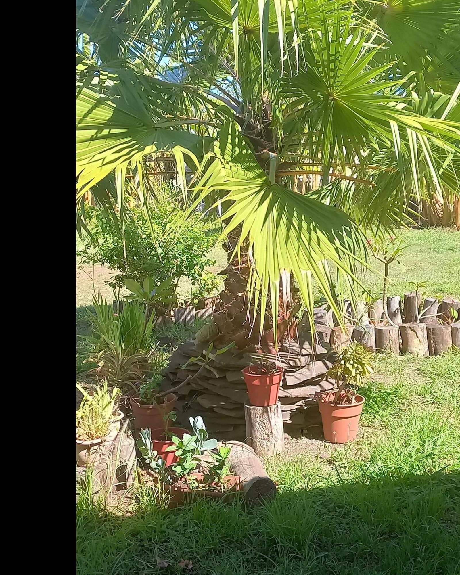 Casa de férias Rapanui Keka